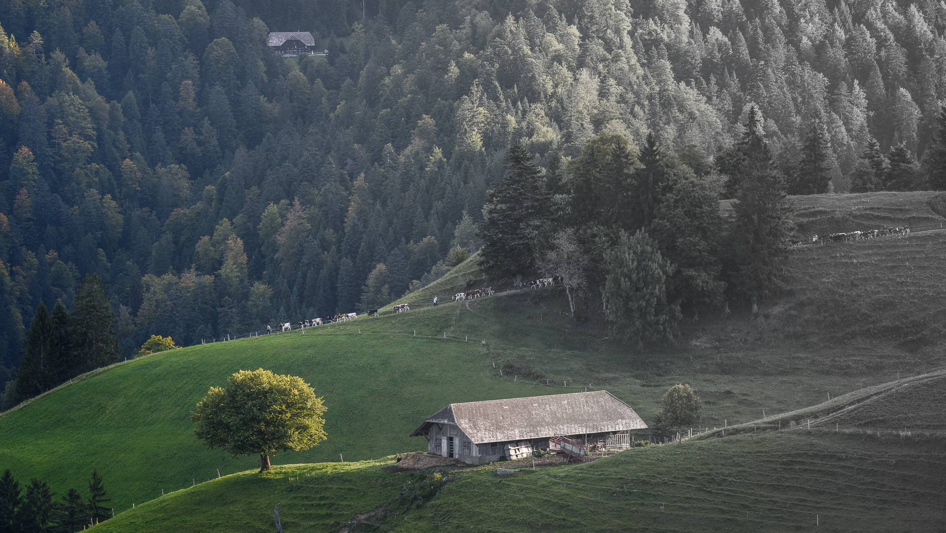Auf drei Tage Sonnenschein ein Tag Regen gereicht Berg und Tal Segen.