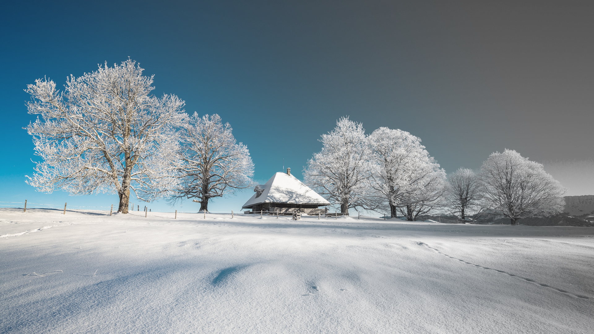 Januar muss vor Kälte knacken, wenn die Ernte gut soll sacken.