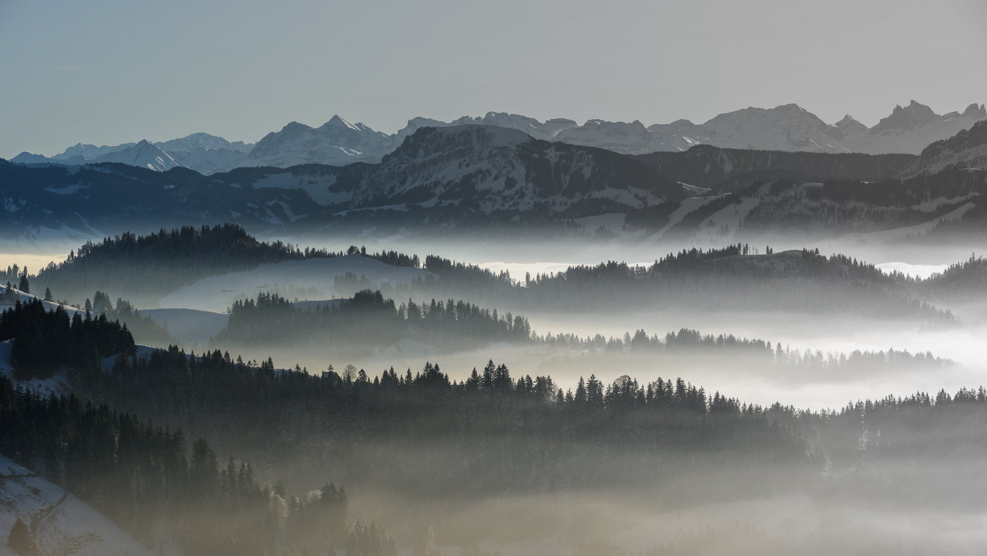 Wenn die Katze im Februar an der Sonne liegt, im März sie wieder hinter den Ofen kriecht.